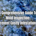 A Comprehensive Guide To Mold Inspection: Prevent Costly Infestations