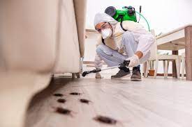 Why Should You Get Pest Inspection Done?